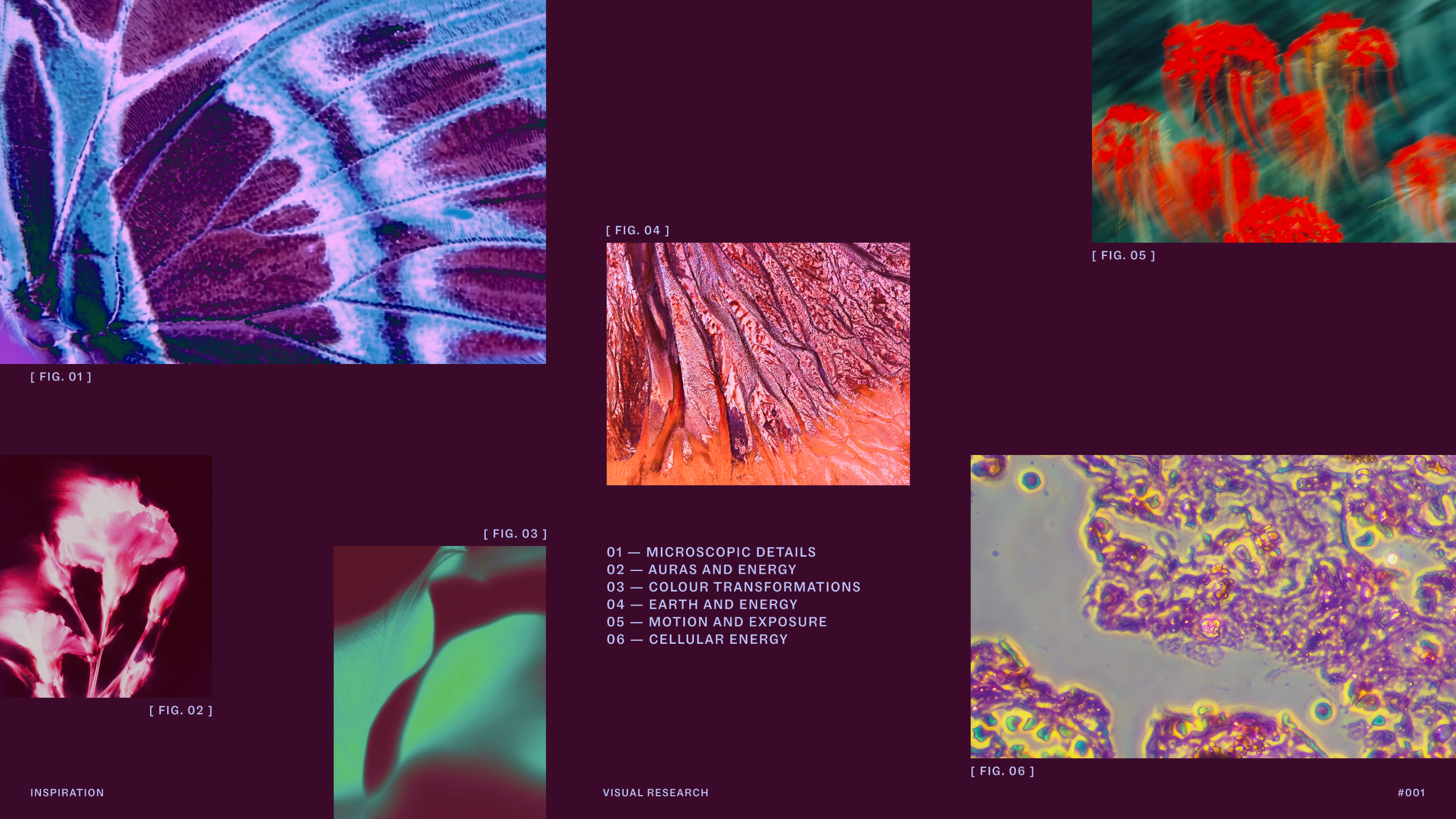 Purple Garden rebrand