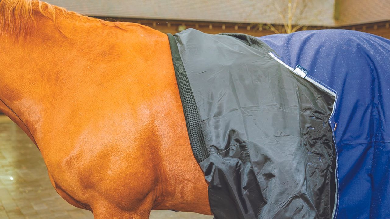 Shires Tempest Original Air Motion Combo review