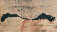 An astronaut photo of the Carrizozo Malpa&iacute;s lava flow in New Mexico taken June 30.