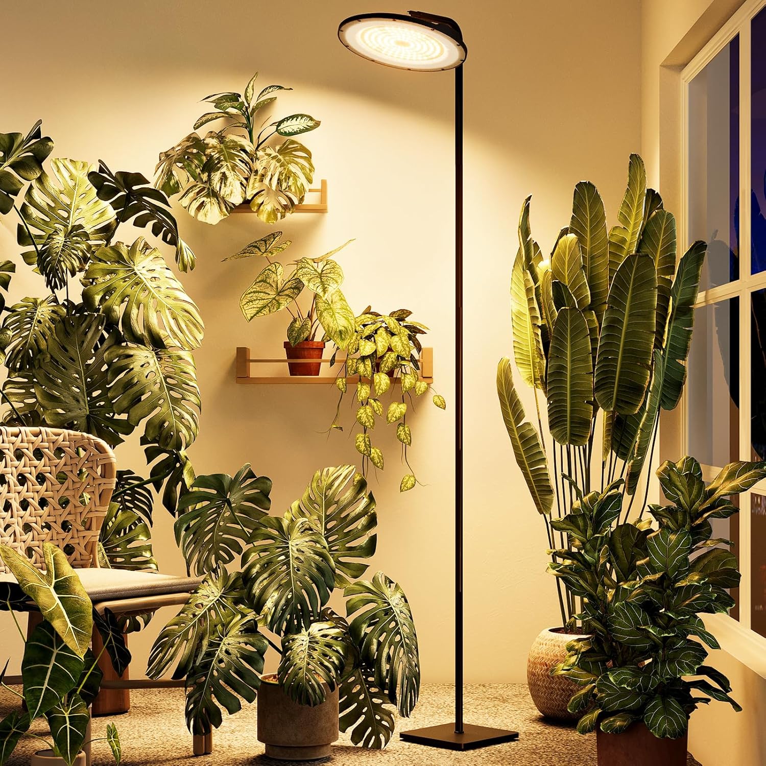 Bamworld Hanging Grow Light for Indoor Plants Full Spectrum 10 Dimmable Levels Led Grow Light Long Cord Timer Garden Greenhouse Flowers Large Tall Plant Black With Upright Stand