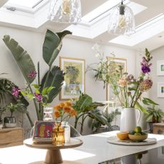 white kitchen island with plants underneath Velux windows