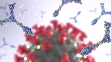 An illustration of Y shaped antibodies in front of a coronavirus particle, blurred in the background