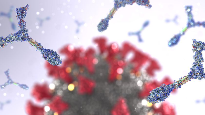 An illustration of Y shaped antibodies in front of a coronavirus particle, blurred in the background