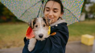 Woman holding her puppy in the rain