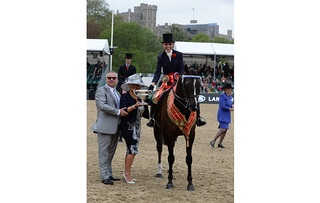 Angharad Ellis Owen riding Lingswood Lad, Count Robert Orssich Hack Championship during Friday of the Royal Windsor Horse Show, in the grounds of Windsor Castle in Windsor in the county of Berkshire, UK on 13th May 2016