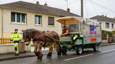 Charleville-Mezieres (north-eastern France): horse-drawn kerbside waste collection