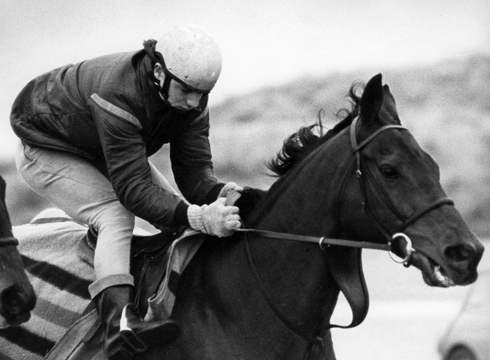 Red Rum