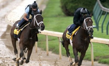 Uncle Mo is ranked among the fastest of this year's Kentucky Derby horses, which may not be saying much given the field's overall sluggishness.