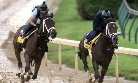 Uncle Mo is ranked among the fastest of this year&amp;#039;s Kentucky Derby horses, which may not be saying much given the field&amp;#039;s overall sluggishness.