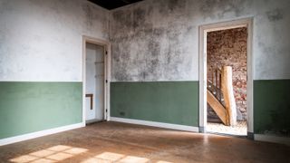 damp walls inside room with wooden floor and green and white walls