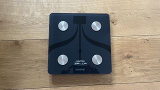  RENPHO Smart Scale for Body Weight, Solar Power