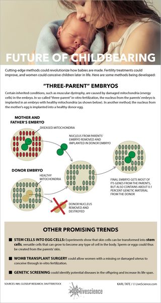 Methods including three-parent embryos and womb transplants could revolutionize childbearing. [See full info graphic]