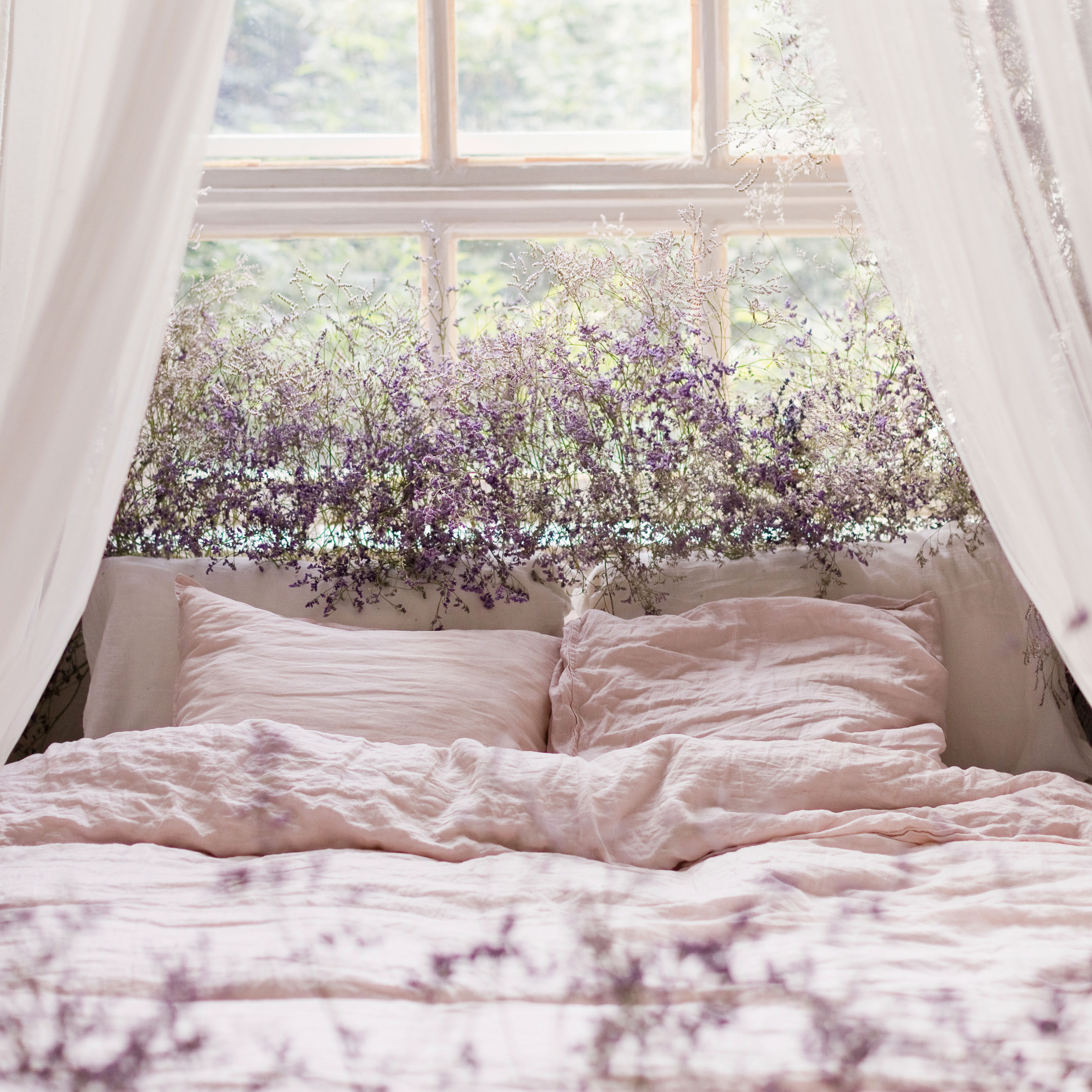 lavender plants at bedroom window behind bed with white pillows and blankets