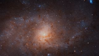 Behold: the sharpest view of the Triangulum Galaxy ever! This composite image combines 54 frames captured by the Hubble Space Telescope's Advanced Camera for Surveys. Also known as Messier 33, the Triangulum Galaxy is located about 3 million light-years from Earth in the constellation of Triangulum.