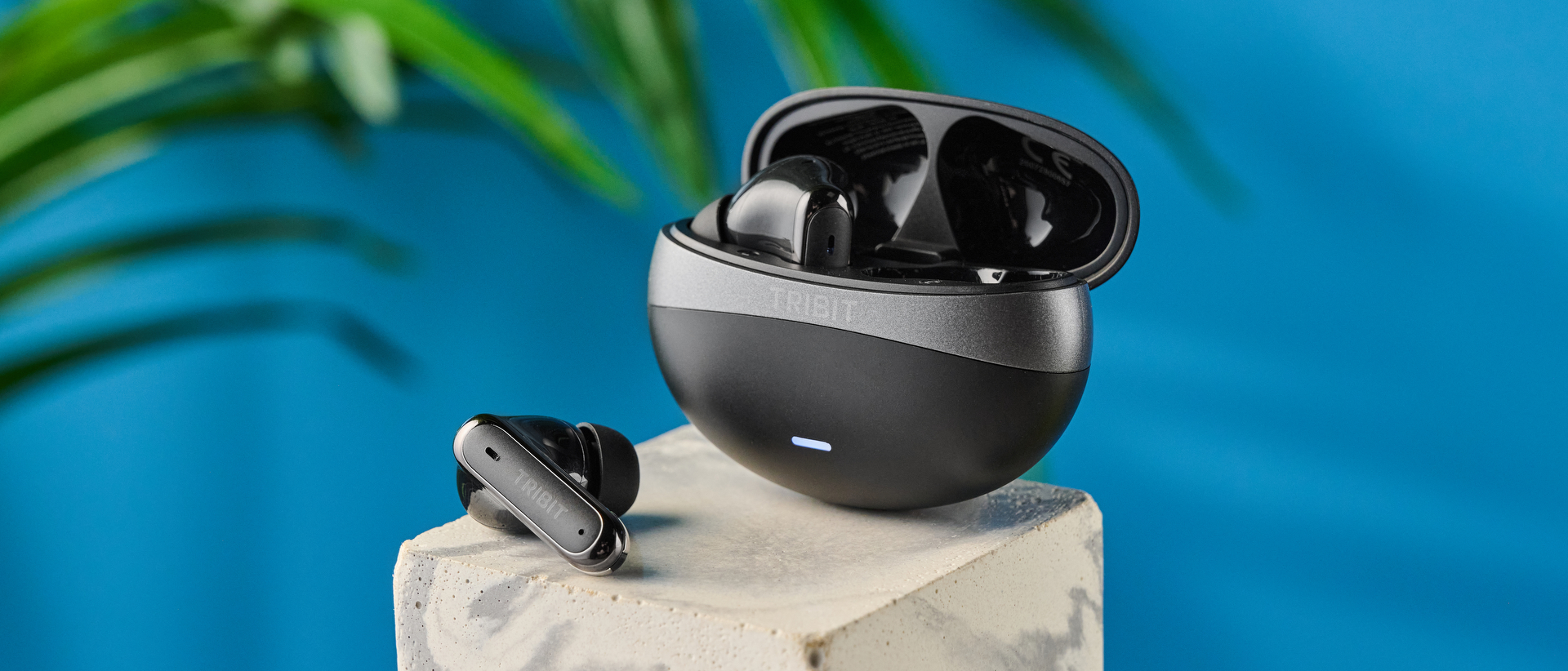 Tribit FlyBuds C3 in black photographed on a blue background with leaves