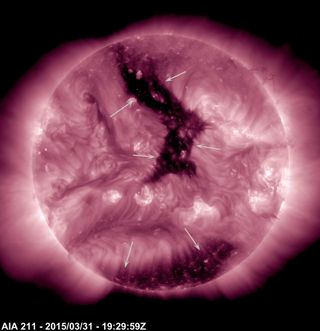 Two Coronal Holes, March 2015