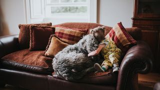 An irish wolfhounds cuddles with a three year old girl