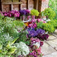 cut flower patch bunches of freshly cut flowers in galvanised buckets