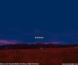 Venus is Back: Spot the Early Morning Beacon