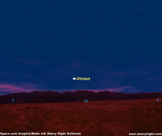 Venus is Back: Spot the Early Morning Beacon