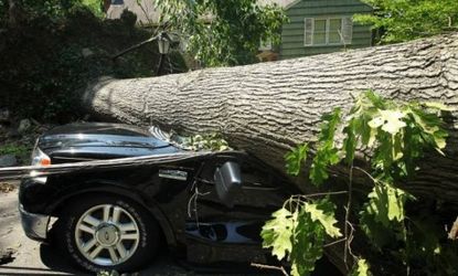 A downed tree damages a truck after a powerful overnight storm in the Washington, D.C. area on June 30 in Falls Church, Va. The storm has left more than 3 million people in the region without