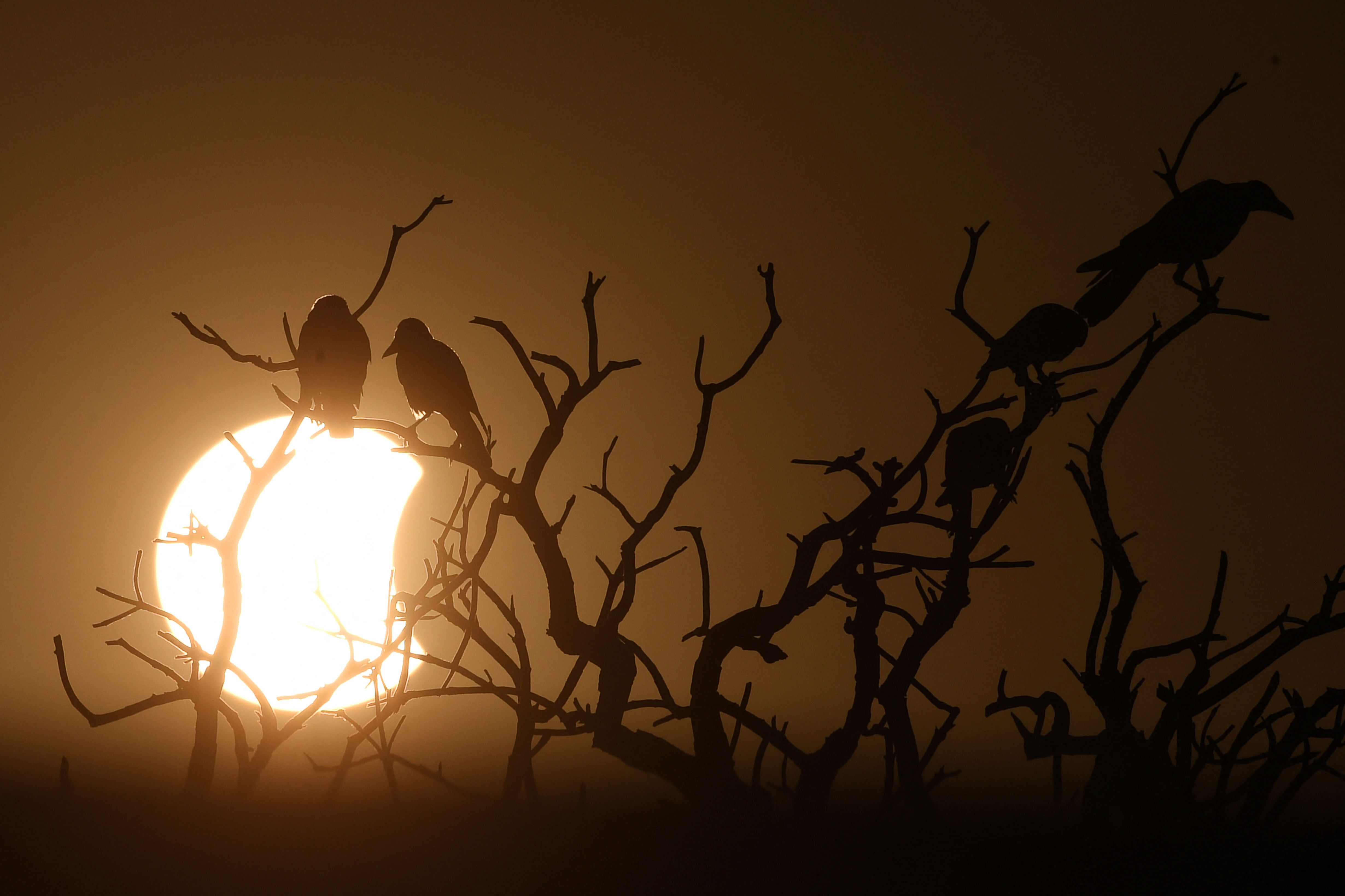  Stunning (and spooky) photos of the final solar eclipse of 2022 
