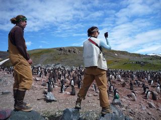 Researchers are taking a census of Adélie penguin chicks on the West Antarctic Penin