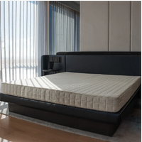 Equinox Hotels Mattress (queen): $3,398 at Equinox Hotels Sleep Shop