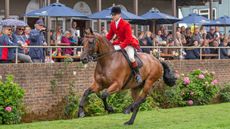 RIHS supreme horse winners