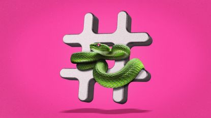 Illustration of a venomous snake coiled around a hashtag symbol