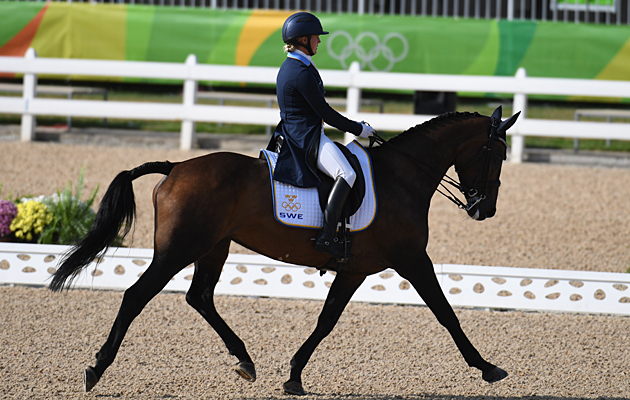 Herta_Rio_PN16_27456.jpg