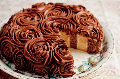 Coconut and chocolate stripey cake
