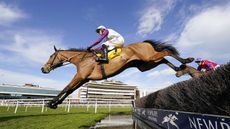 Bravemansgame Cobden riding Bravemansgame clear the water jump on their way to winning The Betfair Cheltenham Roarcast Novices' Limited Handicap Chaseat Newbury Racecourse on February 12, 2022 in Newbury, England. (Photo by Alan Crowhurst/Getty Images)