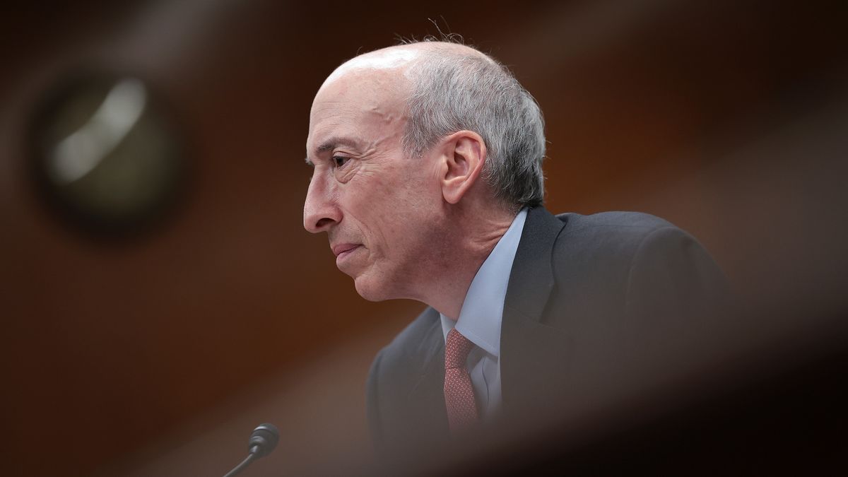 SEC Chair Gary Gensler, photographed in side profile while giving testimony before the Financial Services and General Government Subcommittee. He in in focus, with a microphone just in frame below his chin, but the rest of the image is defocused.