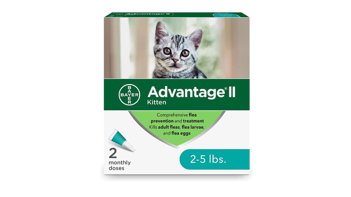 Best flea treatments for cats 2024 to keep the pests at bay PetsRadar