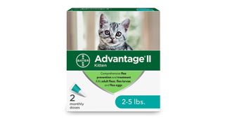 Advantage II Kitten