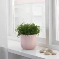 IKEA GRADVIS Plant pot