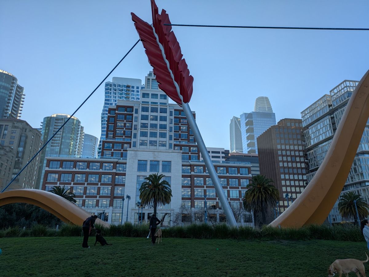 Photo of Cupid's Span shot by Pixel 8a