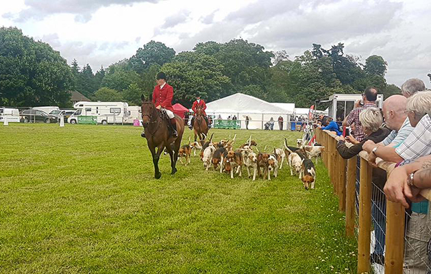 Game Fair 5