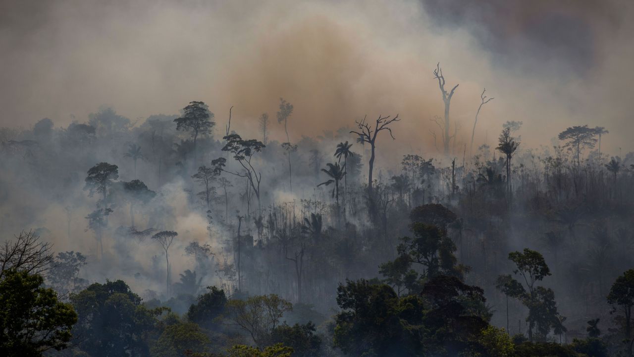 gettyimages-1164415392_cropped.jpg