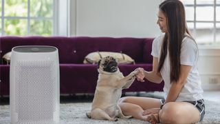 Are air purifiers safe for pets: picture of dog, owner and air purifier 