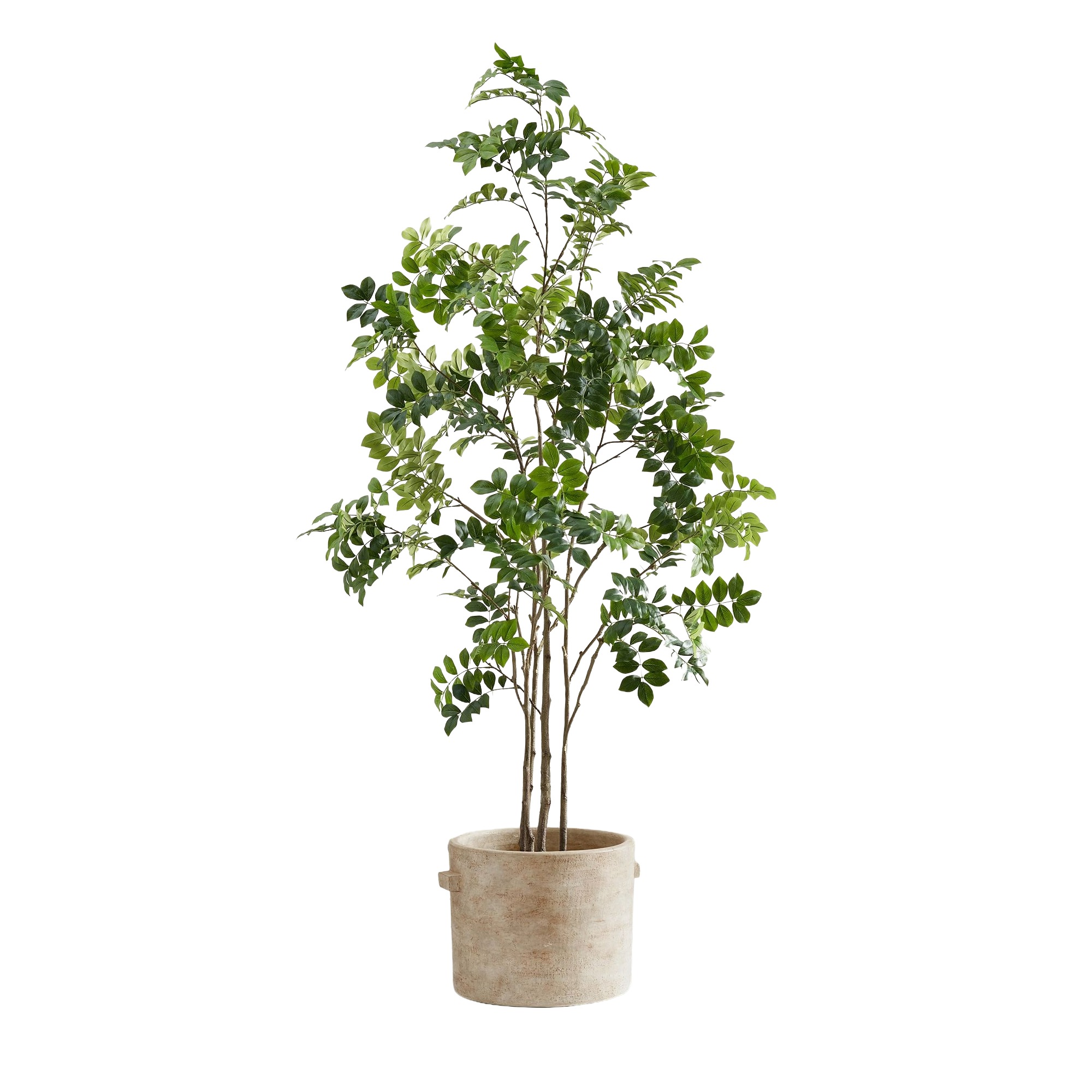 Faux Green Leaf Tree, $399, Pottery Barn