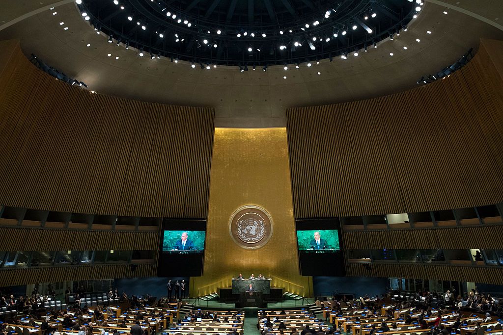 The United Nations General Assembly