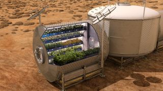 Setting up a semi-permanent Mars base will require crop growth on the planet to sustain explorers far from Earth, experts say.