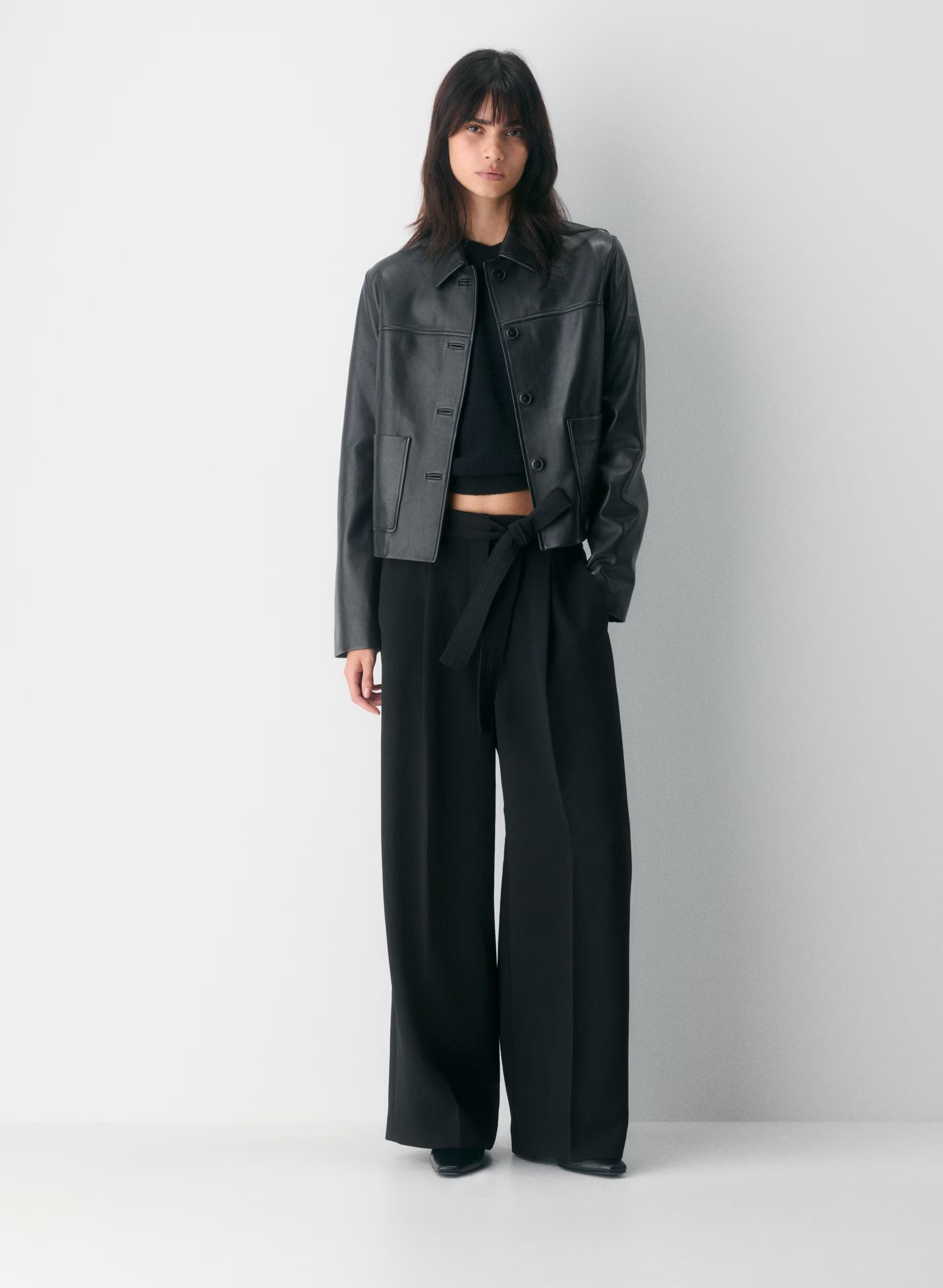 Wilfred at Aritzia, Shimmy Pant
