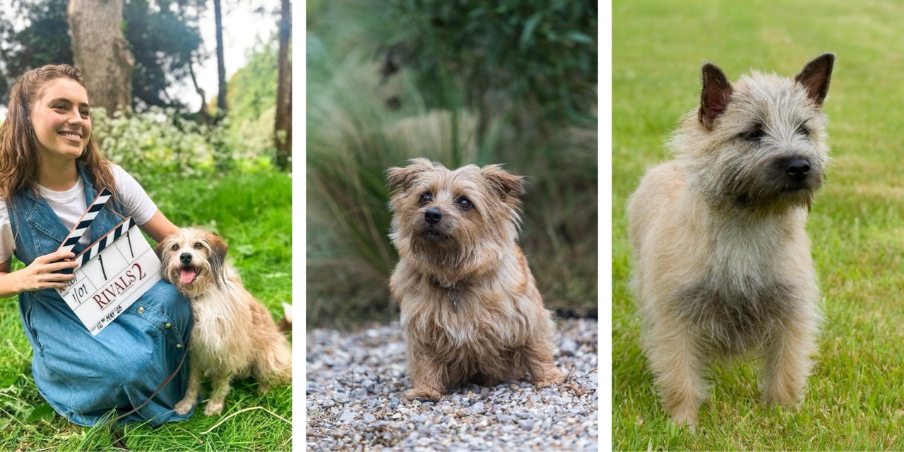 Bella Maclean as Taggie O&amp;rsquo;Hara beside Gertrude the dog. In the centre, a scruffy tan terrier sits on gravel outdoors. On the right, a light-coloured Norwich terrier stands alert on grass.