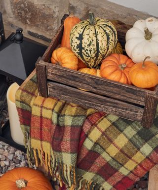 pumpkins and checked blanket