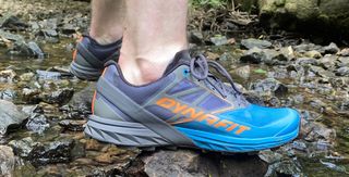 Dynafit Alpine Running Shoe side profile