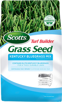 Kentucky Blue Grass Seed, $28.99, Amazon