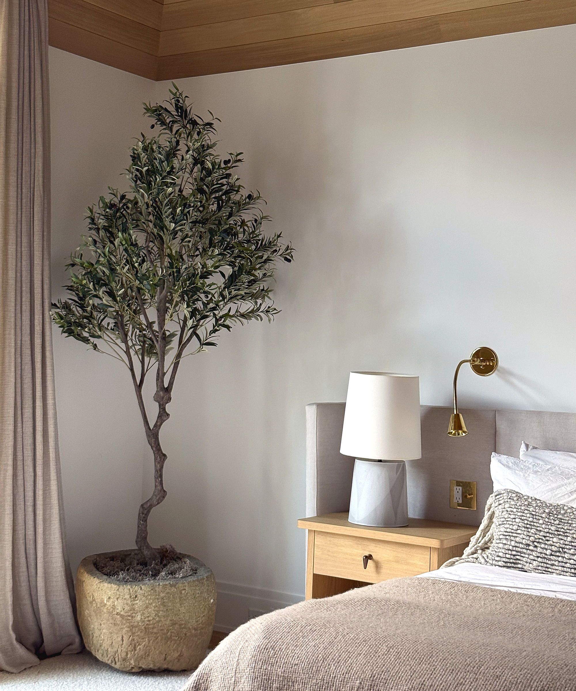 tall olive tree in the corner of a bedroom